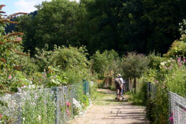 Frühlingserwachen: Die steigenden Temperaturen im März und ihr Einfluss auf die Kleingartenanlage