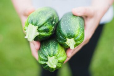 Schulgarten & Lerngarten