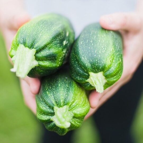 zucchinis vegetables green fresh 1869941